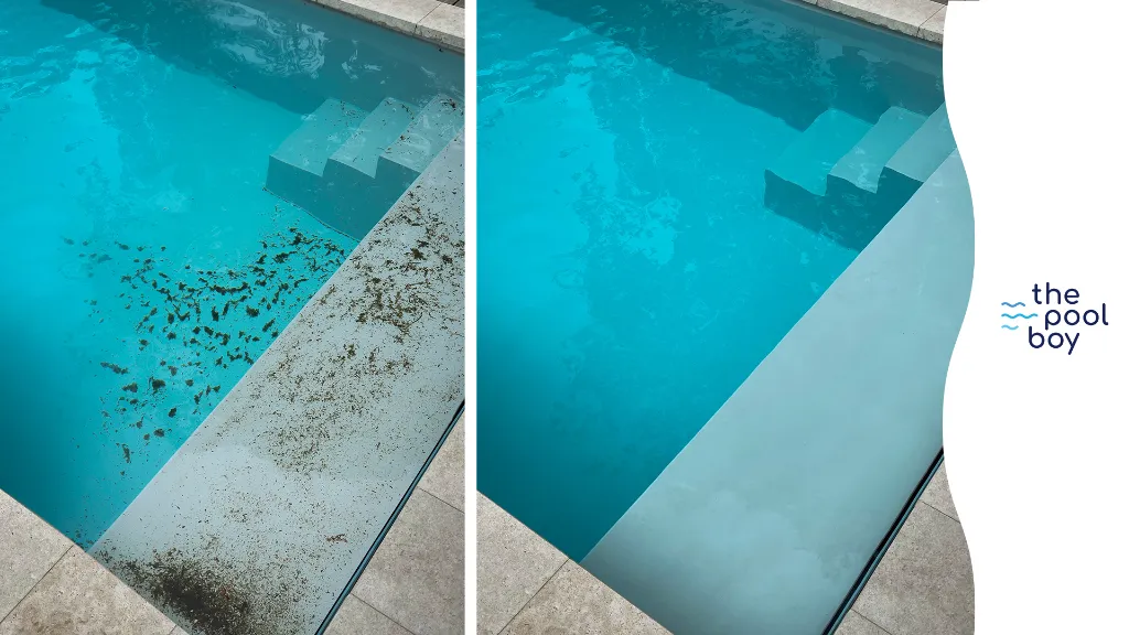 ThePoolBoy reclame schermen 4 Liggend.webp